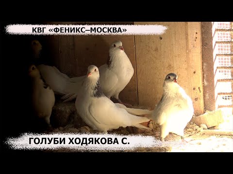 Видео: 13.05.2023 КВГ "ФЕНИКС-МОСКВА"