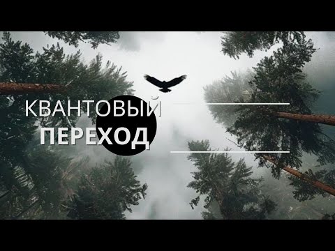 Видео: Квантовый переход 