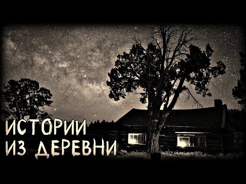 Видео: Истории из Деревни (3в1)