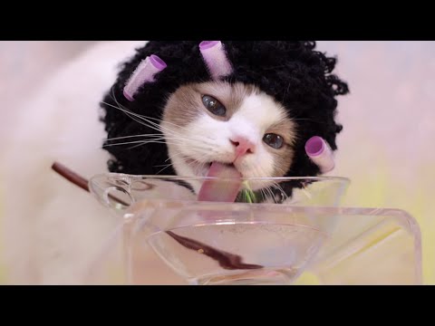 Видео: Прощай, калории, Мукбанг + Рецепт, часть 2 из серии Spa, часть 3