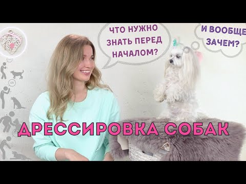 Видео: Дрессировка собак, наш опыт, мифы, с чего начать, основные принципы.