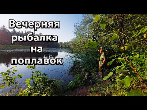 Видео: Вечерняя рыбалка на поплавочную удочку.