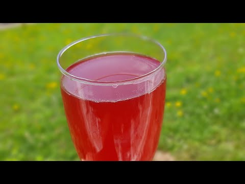 Видео: Квас из чая Каркаде. Вкусно и полезно
