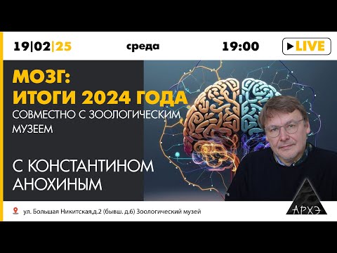 Видео: Константин Анохин - Мозг: итоги 2024 года