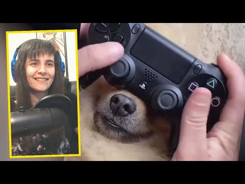 Видео: ТЕСТ НА ПСИХИКУ ЧЕЛЕНДЖ l 434 СЕКУНД СМЕХА l ЗАСМЕЯЛСЯ ПРОИГРАЛ РЕАКЦИЯ