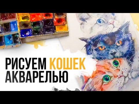 Видео: Как нарисовать кошек акварелью? | Как нарисовать кота - пошаговое руководство