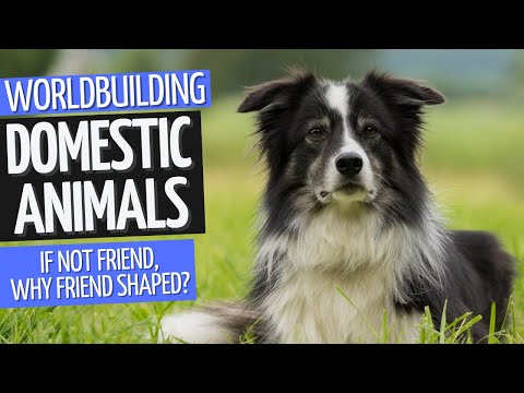 Видео: Домашние животные фэнтези | Worldbuilding