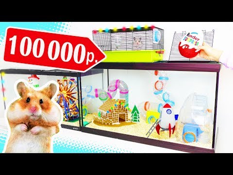 Видео: РУМ ТУР ОГРОМНЫЙ ДОМ ХОМЯКОВ 🐹 КЛЕТКА ЗА 100000 РУБЛЕЙ 😱 КОЛЛЕКЦИЯ ИГРУШЕК 3D РУЧКОЙ