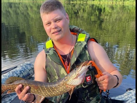 Видео: Тут водятся крокодилы