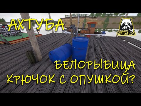 Видео: Русская рыбалка 4. рр4. Ахтуба. Белорыбица. Разбираюсь в нюансах.