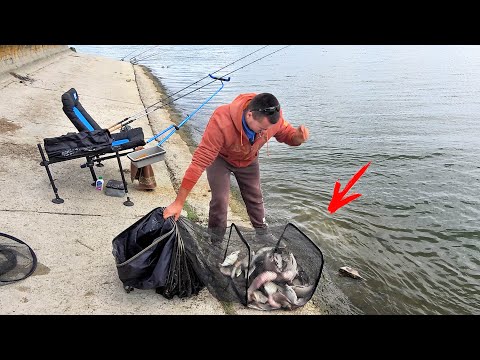 Видео: УБИЙЦА КАРАСЯ КОСИТ РЫБУ!!! ТАКОГО на РЫБАЛКА ЕЩЁ НЕ БЫЛО!!! Ловля леща на фидер в Сентябре