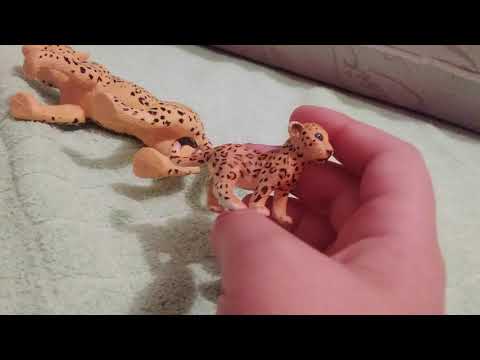 Видео: топ 19 моих фигурок диких кошек