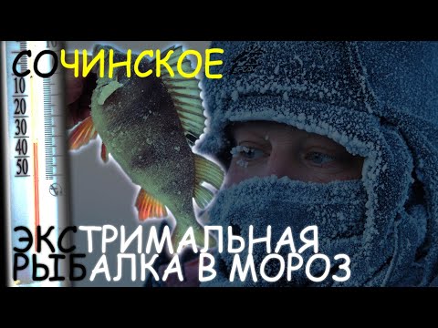 Видео: БЕСКЛЁВЬЕ В НОВОМ ГОДУ #1 ИЛИ КАК НЕ НАДО РЫБАЧИТЬ - СОЧИНСКОЕ