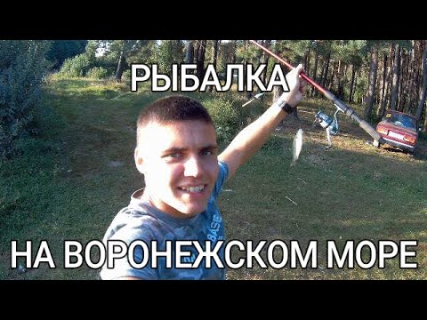 Видео: РЫБАЛКА НА ВОРОНЕЖСКОМ ВОДОХРАНИЛИЩЕ НА КОРМАКИ И ФИДЕР