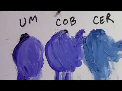 Видео: Визит студии Брайана Рутенберга 48