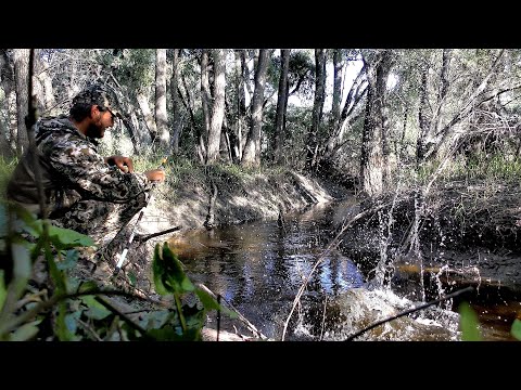 Видео: ВЫХОД РУЧЬЯ ЗАБИТ РЫБОЙ, РУКА ЛОВИТЬ УСТАЛА.!!! Рыбалка на спаде большой воды! Алтай, Обь.