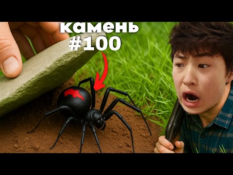 Видео: Я перевернул 100 камней И ВОТ ЧТО Я НАШЕЛ | В ГОРАХ