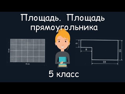 Видео: Площадь. Площадь прямоугольника. 5 класс