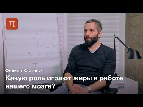 Видео: Эволюция липидного состава мозга - Филипп Хайтович