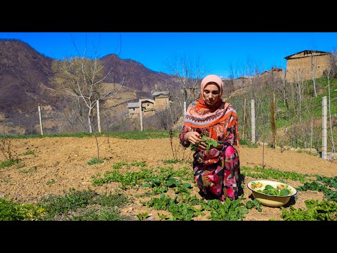 Видео: Вдали от цивилизации : Жизнь в самой холодной горной деревне Ирана