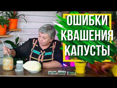 Видео: Ошибки при Квашении Капусты ✔️ Как Правильно квасить Капусту