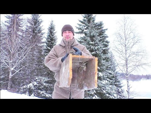 Видео: ОХОТА НА НОРКУ / УСТАНОВКА КАПКАНА С ПРИВАДОЙ. ГУМАННАЯ ЛОВУШКА НА ПУШНОГО ЗВЕРЯ. РЕСПУБЛИКА КОМИ.