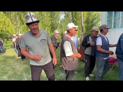 Видео: Ажы той Жалпак-таш Туз-бель Айылы 10.07.2023.ж