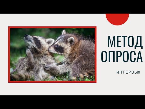 Видео: 11. Интервью как метод исследования
