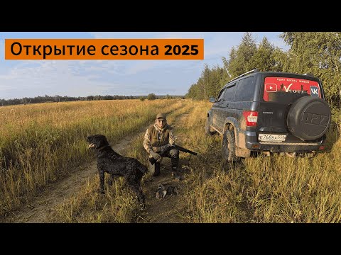 Видео: Ходовая Охота с Дратхааром 2025!