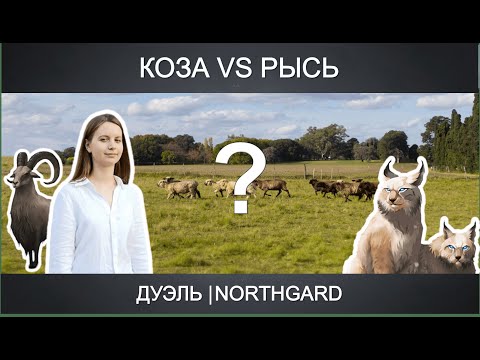 Видео: Калибровочная дуэль | за клан Козы | прохождение Northgard