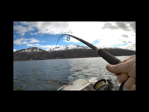 Видео: "Отрываюсь" на спиннинг с лодки.