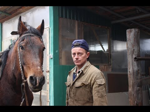 Видео: Shoe a horse. Подковать коня. В гостях в кузнице у Шарапова Олега Александровича. SHABALIN DESIGN