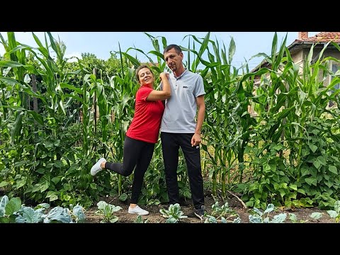 Видео: Как се приготвя най-вкусният компот от грозде? Есенни мигове от живота на село!