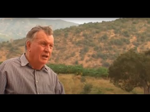 Видео: Эрло Штеген. Свидетельство