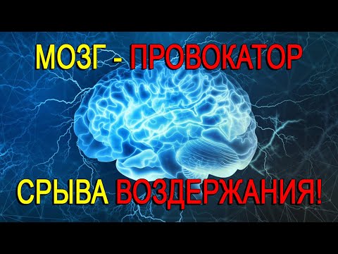 Видео: МОЗГ - ГЛАВНЫЙ ПРОВОКАТОР СРЫВА ВОЗДЕРЖАНИЯ!