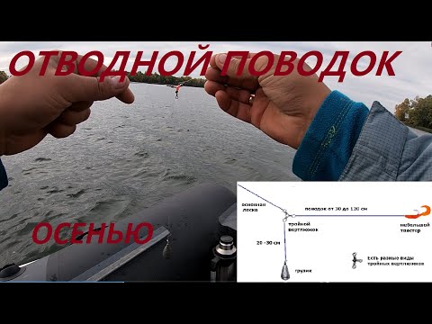 Видео: ОТВОДНОЙ Поводок - РЫБАЛКА Осенью