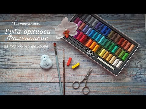 Видео: Орхидея фаленопсис (губа) из холодного фарфора