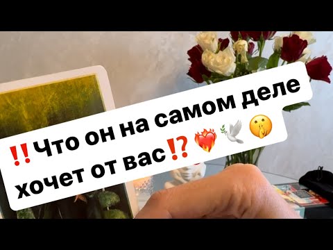 Видео: ‼️Что на самом деле он хочет от вас⁉️❤️‍🔥🤫🕊️