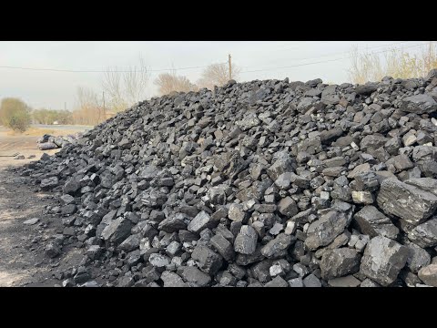 Видео: ЭНГ ЗУР КАЗАХСТОН КУМИРЛАРИ КЕЛДИ 13.11.2025