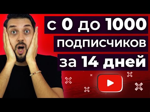 Видео: Как набрать первую 1000 подписчиков на YouTube за 14 дней с нуля
