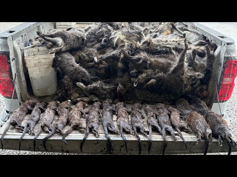 Видео: Всё ещё катится! Проверки 4,5,6 и 7