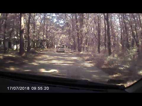 Видео: Камчия,Къмпинг Рай