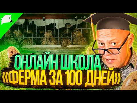 Видео: Перепела как бизнес. Онлайн школа МОИ перепела