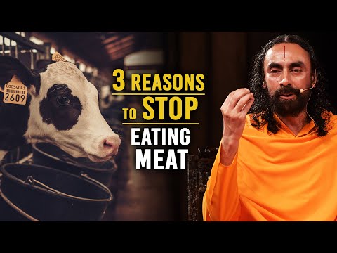 Видео: Бхагавад-гита: 3 причины отказаться от мяса — научно доказано