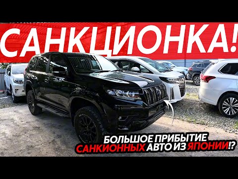 Видео: САНКЦИОННЫЕ АВТО ОТ 1.500.000₽ ИЗ ЯПОНИИ🔥PRADO❗️ALPHARD❗️RAV4❗️LEXUS❗️VOXY НАРОДНЫЕ ЦЕНЫ😱