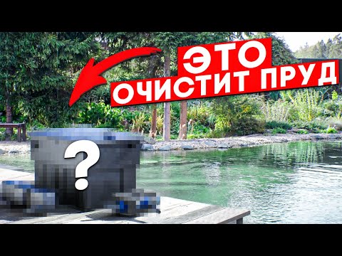 Видео: ЛУЧШИЙ фильтр для пруда | Подготовка пруда к зиме | Китайский фильтр или болотный фильтр Люкспруд?