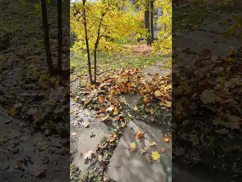 Видео: пришла весна наступил сезон листвы  уборка придомовой территории. С помощью ветро дойки 🤛🌟🌟🌟🌟🌟🤛⭐ 