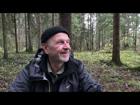 Видео: Одиночный поход с разведкой Стрелки