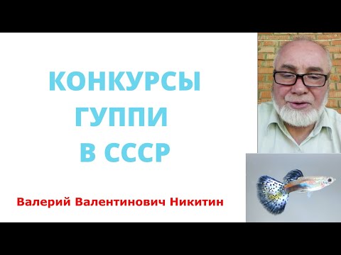 Видео: Конкурсы гуппи в СССР. Валерий Валентинович Никитин