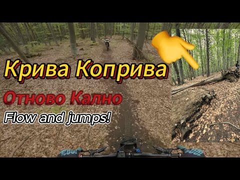 Видео: Кал + Крива Коприва - Не най-добрата комбинация!